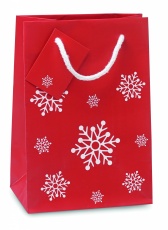 Geschenkpapiertüte Klein