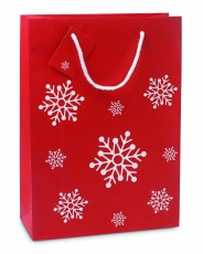 Geschenkpapiertüte Groß