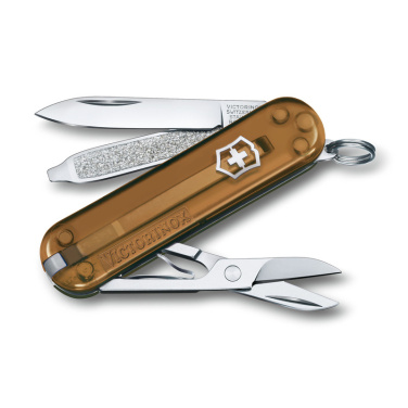 Logotrade Geschäftsgeschenke das Foto: Taschenmesser CLASSIC SD Victorinox