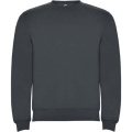 Clasica Sweatshirt mit Rundhalsausschnitt Unisex, Ebenholz