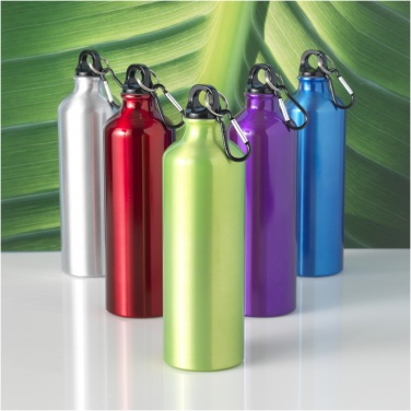 Logotrade advertising products photo of: Oregon 770 ml aluminium water bottle with carabiner