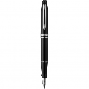 Logotrade advertising products photo of: Waterman Expert fountain pen