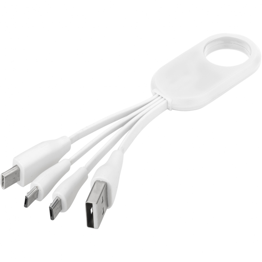 Logo trade promotional items picture of: Troup 4-in-1 charging cable with type-C tip