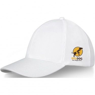 Logotrade promotional gifts photo of: Drake 6 panel trucker cap