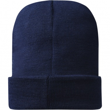 Logotrade promotional gift image of: Hale Polylana® beanie