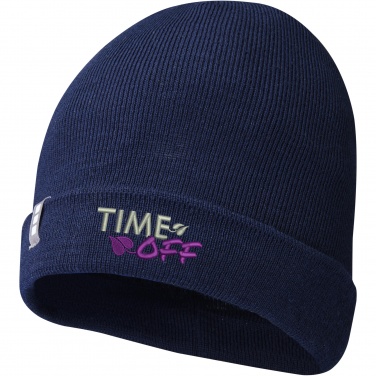 Logotrade corporate gift picture of: Hale Polylana® beanie