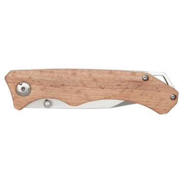 Logotrade promotional giveaways photo of: Dave pocket knife with belt clip
