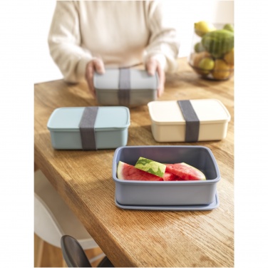 Logo trade promotional gifts picture of: Dovi recycled plastic lunch box