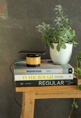 Logotrade advertising product picture of: Bamboo wireless charger speaker