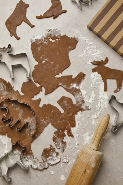Logotrade advertising products photo of: VINGA Nordic big 5 cookie cutter 5-piece set