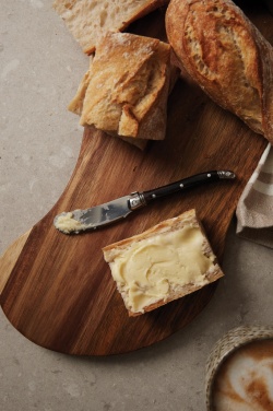 Logotrade promotional items photo of: VINGA Gigaro butter knives