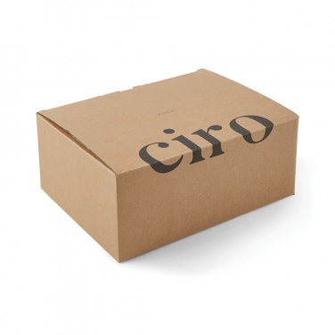 Logo trade promotional giveaways image of: VINGA Ciro RCS recycled steel lunch box