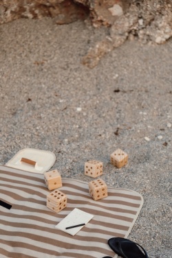 Logo trade promotional gift photo of: VINGA Outdoor yacht game