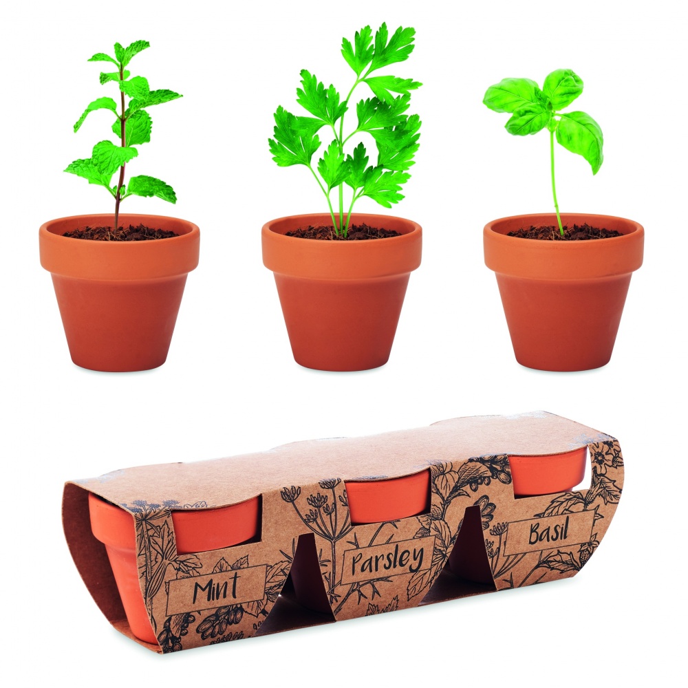Logo trade promotional giveaways picture of: Terracotta 3 herb pot set