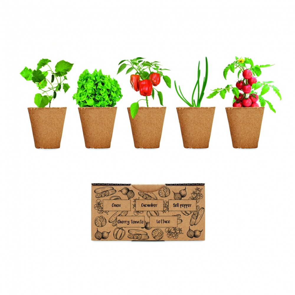 Logotrade promotional giveaways photo of: Salad growing kit