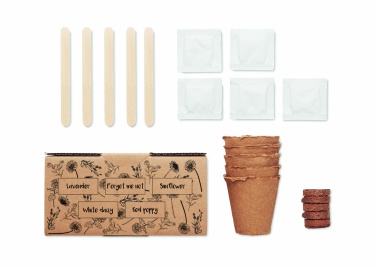 Logotrade advertising products photo of: Flowers growing kit