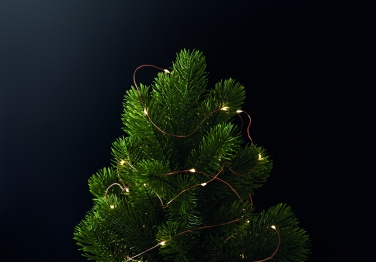 Logo trade promotional giveaway photo of: LED fairy lights string 5m