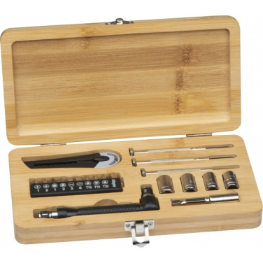 Logotrade promotional gift image of: 22-piece tool set BERINGEN