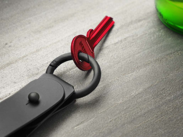 Logo trade promotional gifts picture of: Keyring 1709094