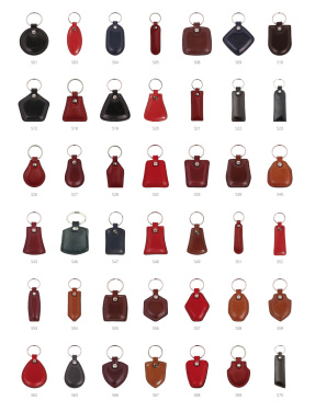Logo trade promotional gifts image of: Keyring 178011