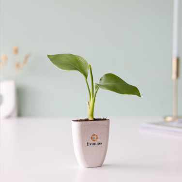 Logo trade promotional gifts picture of: Treemore Letterbox Trees Bird of Paradise plant