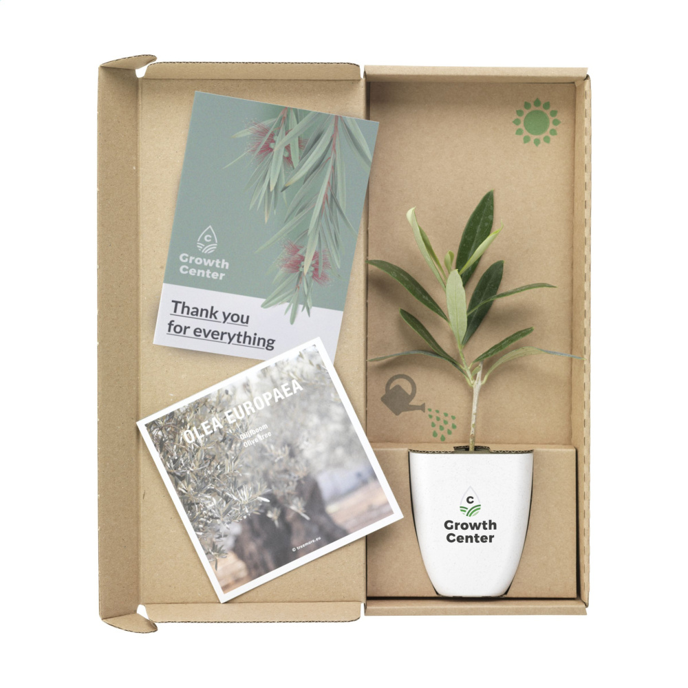 Logotrade promotional item picture of: Treemore Letterbox Trees Olive
