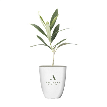 Logotrade promotional merchandise picture of: Treemore Letterbox Trees Olive
