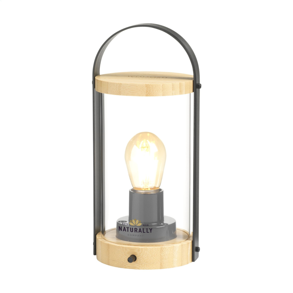 Logo trade advertising products picture of: Wooosh Batam Light rechargable lamp