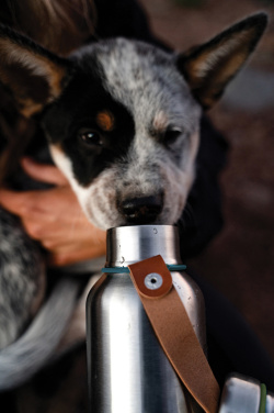 Logo trade promotional giveaways image of: Black+Blum Insulated Water Bottle Small 500ml