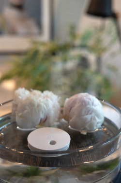 Logotrade promotional giveaways photo of: Breevia RCS rplasic re-chargeable floating humidifier