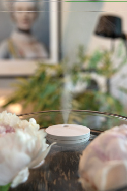 Logo trade promotional products picture of: Breevia RCS rplasic re-chargeable floating humidifier