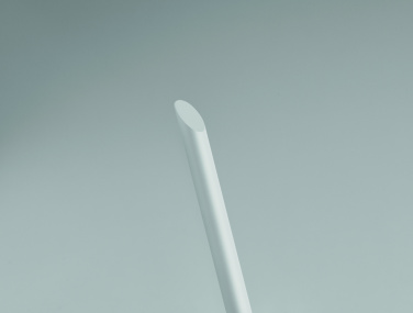 Logotrade promotional merchandise picture of: Long lasting inkless pen