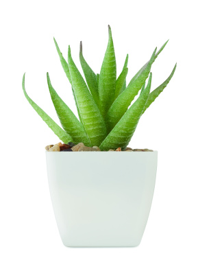 Logo trade business gift photo of: Mini artificial plant