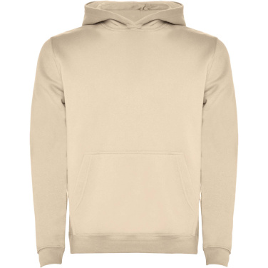 Logo trade promotional products image of: Urban kids hoodie