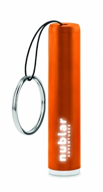 Logotrade ärikingituse foto: Plastikust valgustusega logoga taskulamp