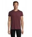 REGENT F MEESTE T-SÄRK 150g, Heather Oxblood
