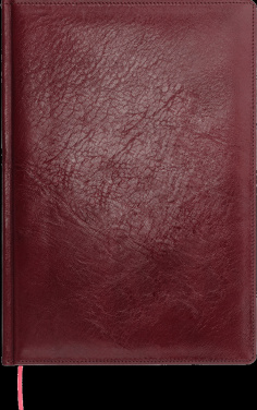 Logotrade ärikingitused pilt: Kalendermärkmik 642131