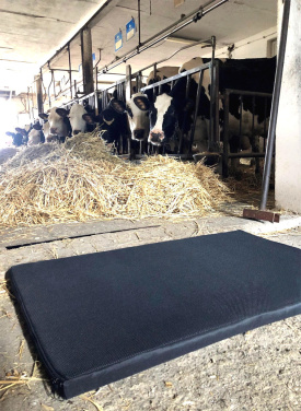 Logo trade ärikingid foto: Desinfektioon matt 100x150x3cm 1369087