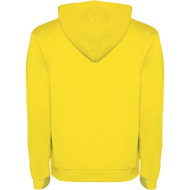 Logotrade firmakingi foto: Urban meeste kapuutsiga hoodie