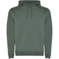 Urban meeste kapuutsiga hoodie, Loorberiroheline