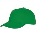 Ares 6 panel cap lippis, Saniaisen vihreä