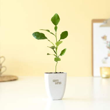 Logotrade mainoslahja tuotekuva: Treemore Letterbox Trees Kaffir Lemon