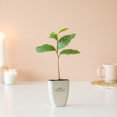 Logotrade mainoslahjat ja liikelahjat tuotekuva: Treemore Letterbox Trees Teekasvi