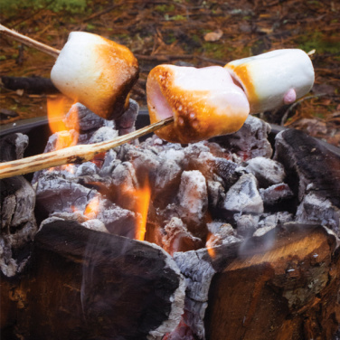 Logotrade liikelahjat kuva: Eco Grill L