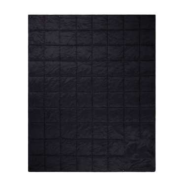 Лого трейд pекламные подарки фото: Плед Nordic Drift GRS 3-в-1 для приключений